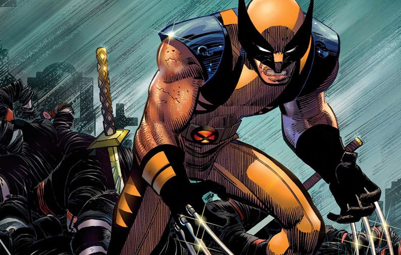 Wolverine-wolverine-3981373-800-600