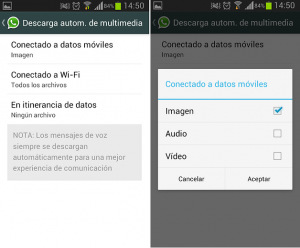WhatsApp_Descarga_Autom (1)