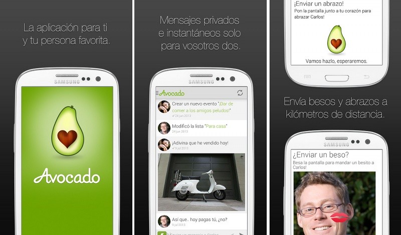 avocado-2