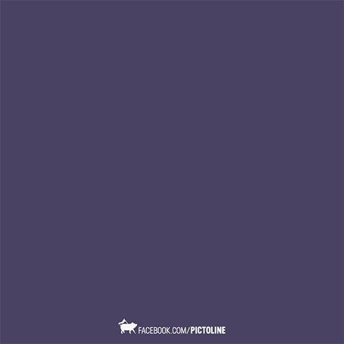 giphy (1)
